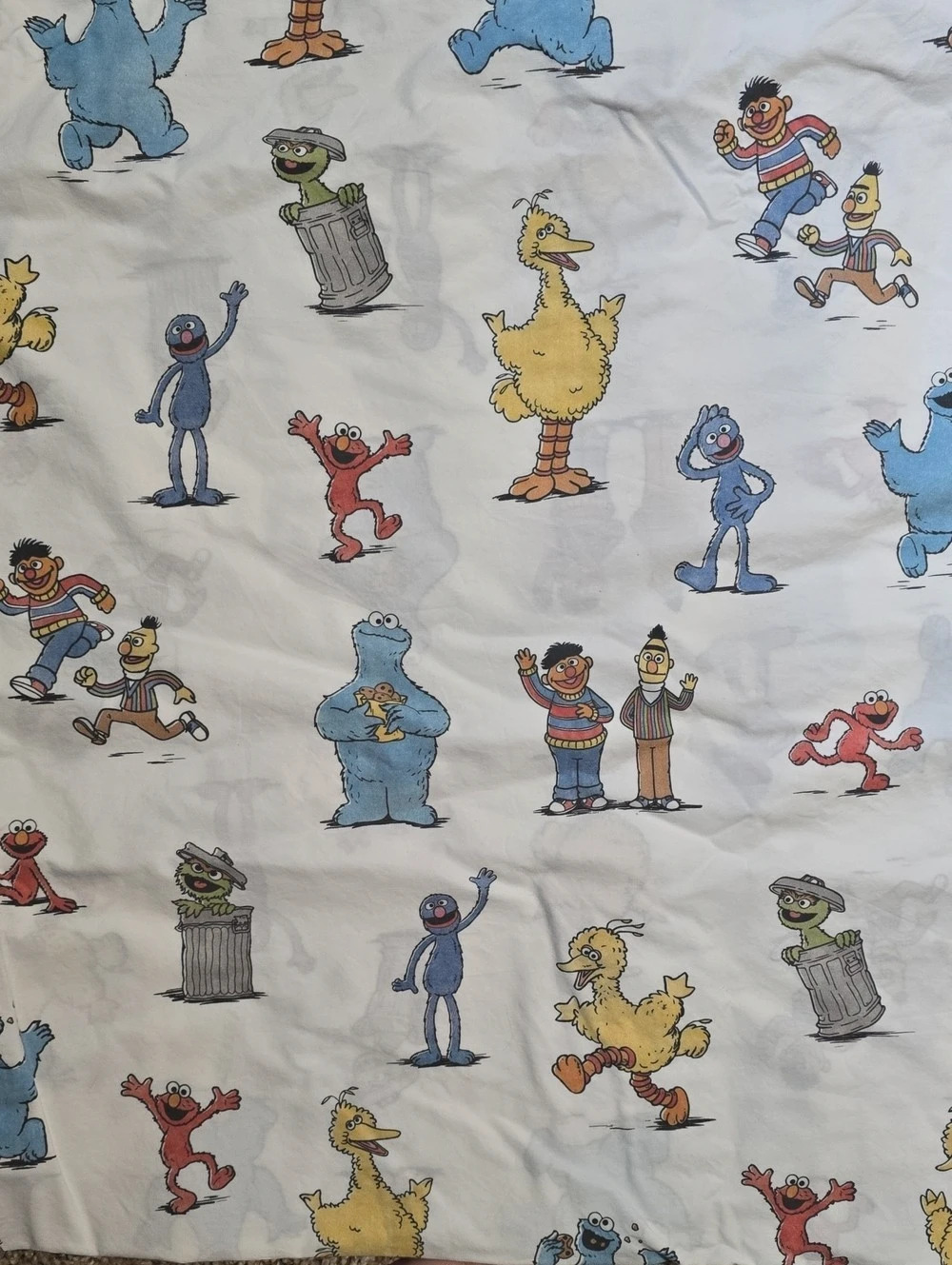 Pottery Barn Kids Sesame Street Queen Sheet Set